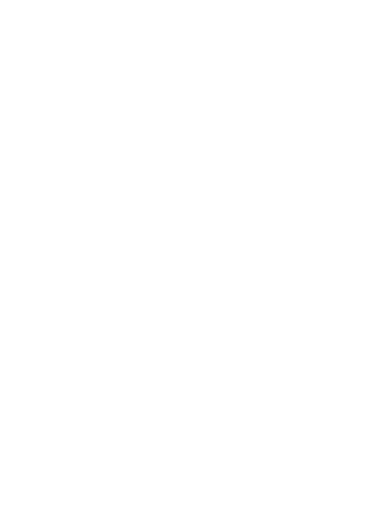 Master Cleaner | roosters - vogelnesten - schoorsteenveger - Wemmel